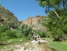 photo thumbnail #14