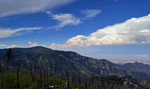 photo thumbnail #8