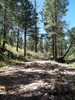 photo thumbnail #4
