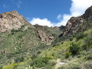 photo thumbnail #3