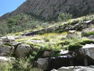 photo thumbnail #8