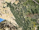 photo thumbnail #12