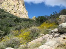 photo thumbnail #15