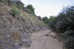 photo thumbnail #4