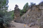 photo thumbnail #5