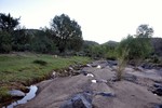 photo thumbnail #8