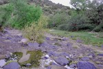 photo thumbnail #9