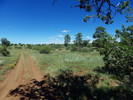 photo thumbnail #6