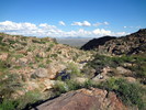 photo thumbnail #11