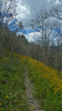 photo thumbnail #9