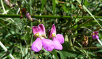 photo thumbnail #14