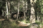photo thumbnail #4