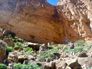 photo thumbnail #5