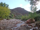 photo thumbnail #12