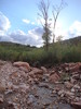 photo thumbnail #13