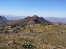 photo thumbnail #3