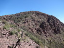 photo thumbnail #5