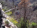 photo thumbnail #13