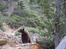 photo thumbnail #5