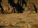 photo thumbnail #14