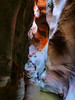 photo thumbnail #15