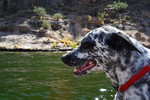 photo thumbnail #2