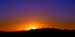photo thumbnail #14