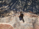 photo thumbnail #15