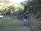 photo thumbnail #3