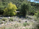 photo thumbnail #9