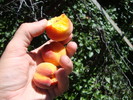 photo thumbnail #11
