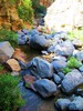 photo thumbnail #15