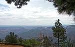 photo thumbnail #10