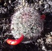 photo thumbnail #5