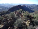 photo thumbnail #7