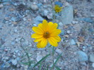 photo thumbnail #12