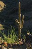 photo thumbnail #7