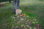 photo thumbnail #13