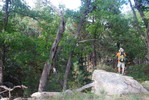 photo thumbnail #14