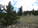 photo thumbnail #3