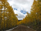 photo thumbnail #7