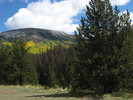 photo thumbnail #10
