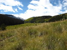 photo thumbnail #12