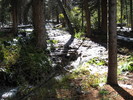 photo thumbnail #14