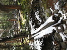 photo thumbnail #15