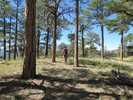 photo thumbnail #7
