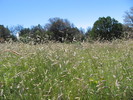 photo thumbnail #14