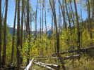 photo thumbnail #8