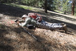 photo thumbnail #3