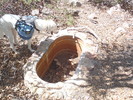 photo thumbnail #9